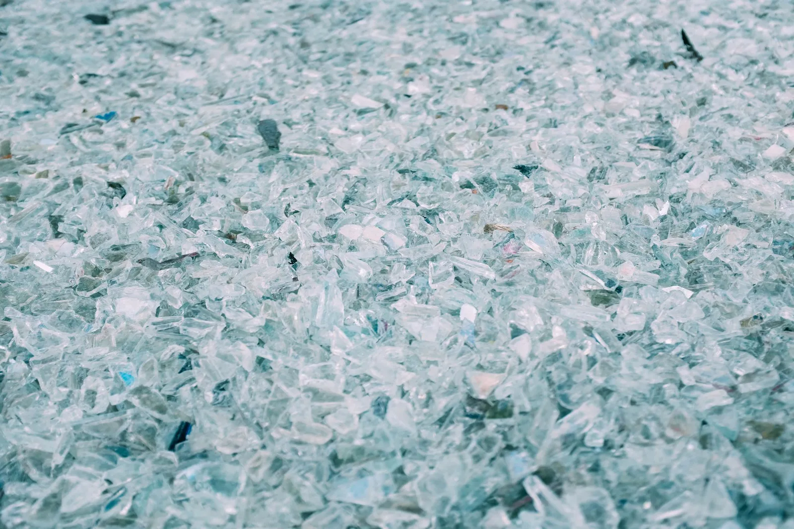 rPET Flakes — Hot-Washed
